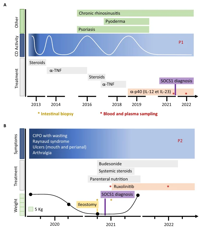 Disease timeline and treatment strategies